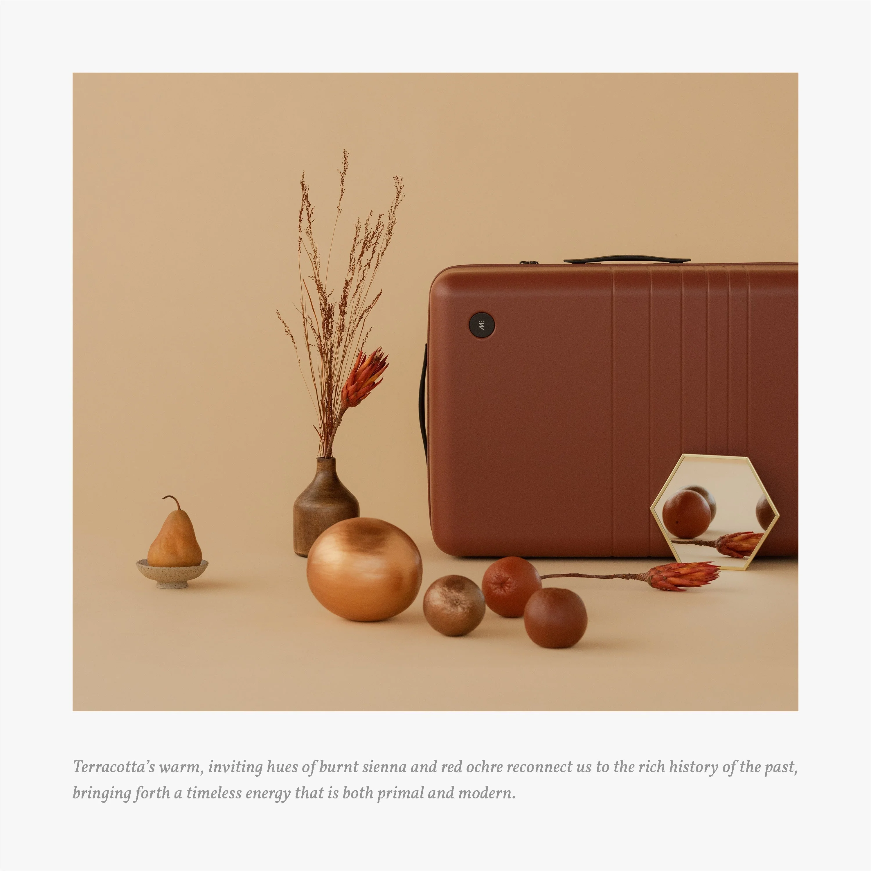 Carry-On Plus - Image 97